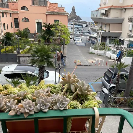 53 بيت للعطل