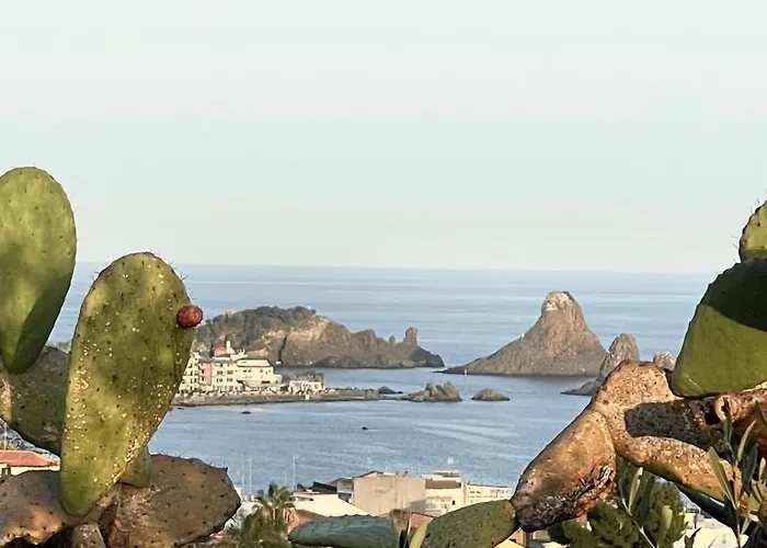 53 * アーチトレッツァ